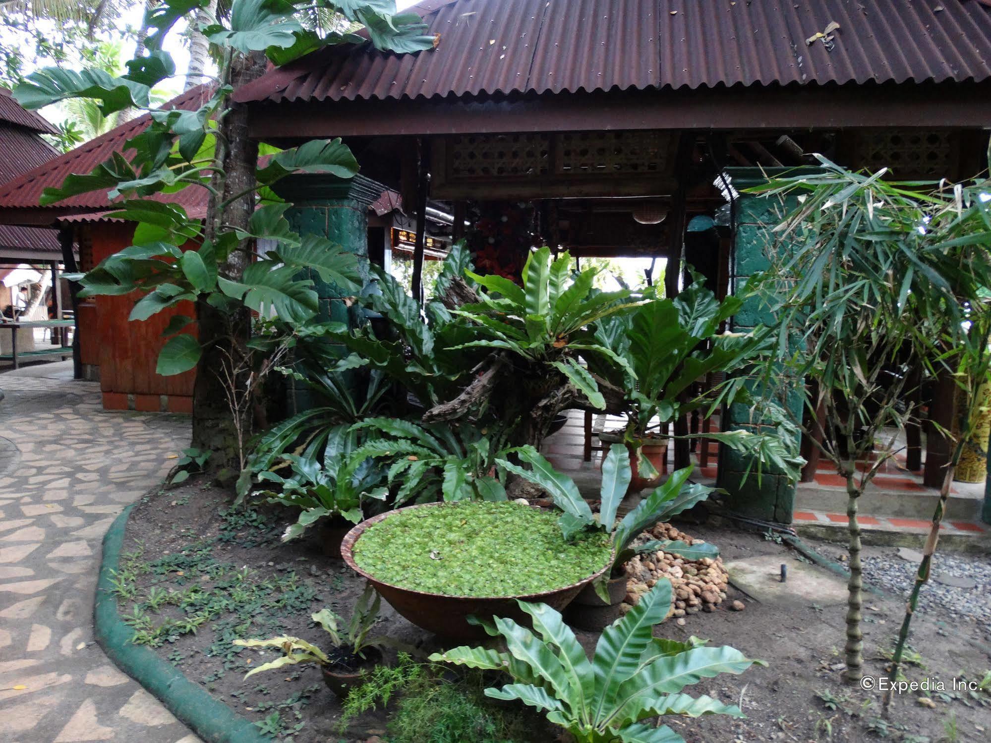 Alona Tropical Beach Resort Panglao Exterior photo